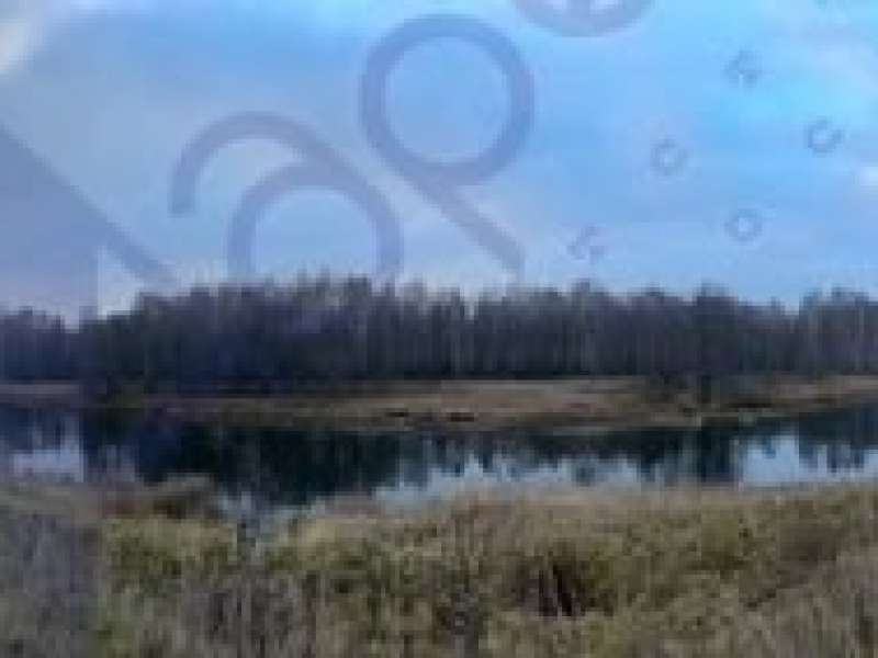 земельный участок 2 000 соток деревня Фефелиха